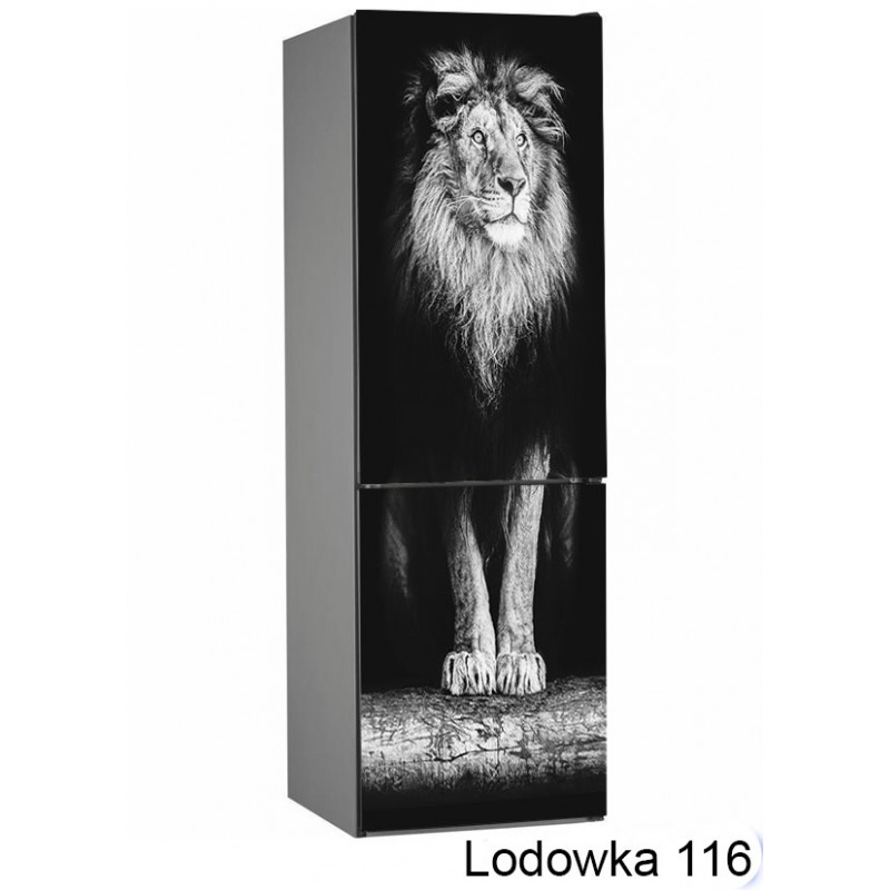  Lodówka zwierzęta lew 116