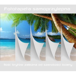  Fototapeta samoprzylepna Canvas, Plaża, Morze, Palmy